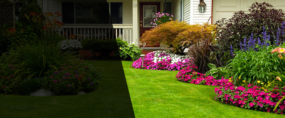 Le Center Landscapers