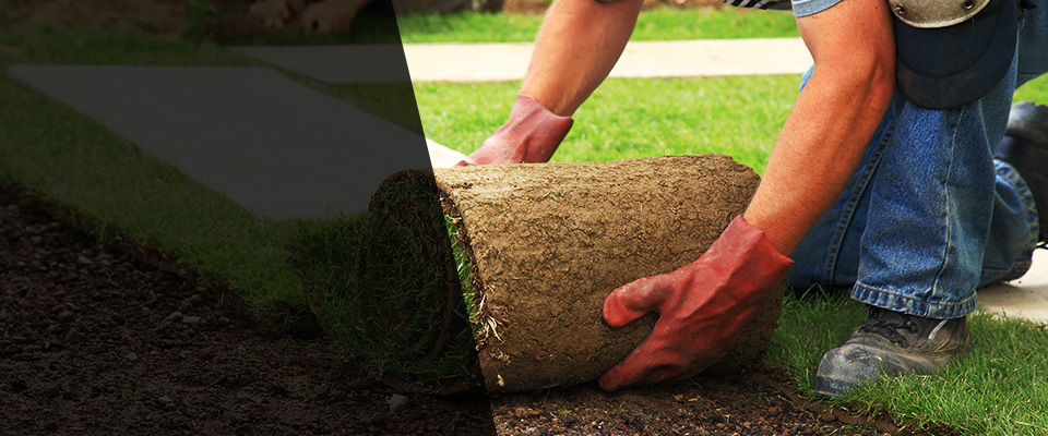 Le Center Landscapers